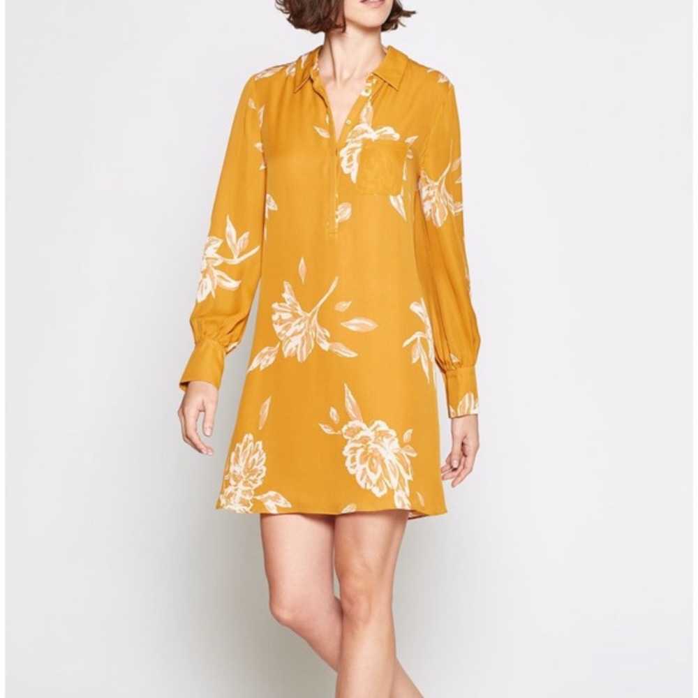 Joie Amaranda Silk Shirt Dress
